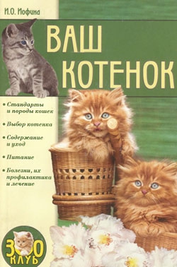 Иофина Ирина - Ваш котенок