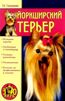 Стрекалова Эльвира - Йоркширский терьер