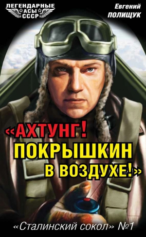 Полищук Евгений - «Ахтунг! Покрышкин в воздухе!». «Сталинский сокол» № 1