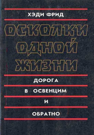 Фрид Хэди - Осколки одной жизни. Дорога в Освенцим и обратно