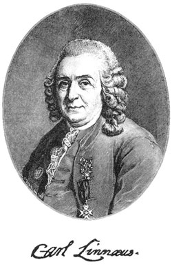 Фаусек В. - Карл Линней. Его жизнь и научная деятельность