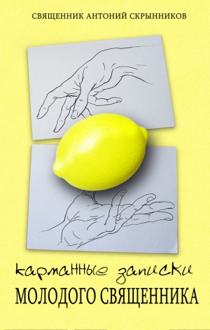 Скрынников Антоний - Карманные записки молодого священника