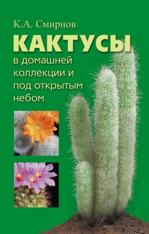 Смирнов Константин - Кактусы в домашней коллекции и под открытым небом