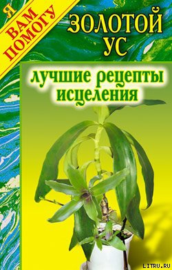 Нестерова Дарья - Золотой ус. Лучшие рецепты исцеления