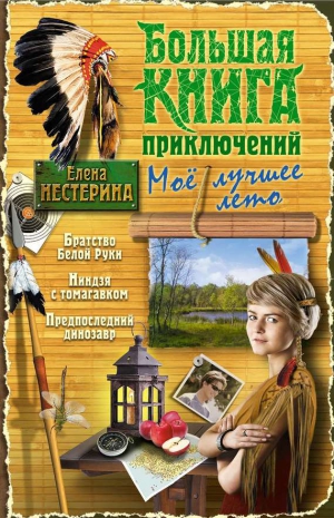 Нестерина Елена - Большая книга приключений. Мое лучшее лето (сборник)