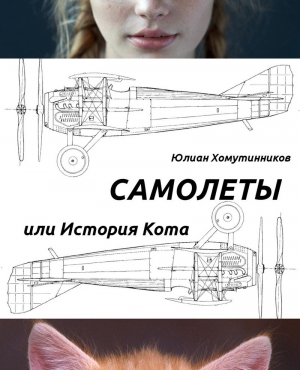 Хомутинников Юлиан - Самолеты, или История Кота (СИ)