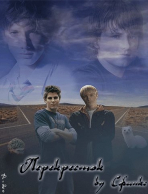 Шевлягина Ольга - Перекрёсток