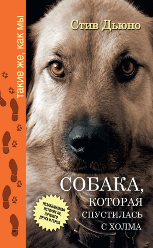 Дьюно Стив - Собака, которая спустилась с холма. Незабываемая история Лу, лучшего друга и героя