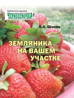 Щекин Владимир - Земляника на вашем участке