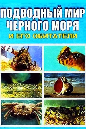 Искив Евгения - Подводный мир Черного моря