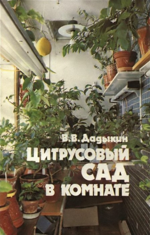 Дадыкин Венедикт - Цитрусовый сад в комнате