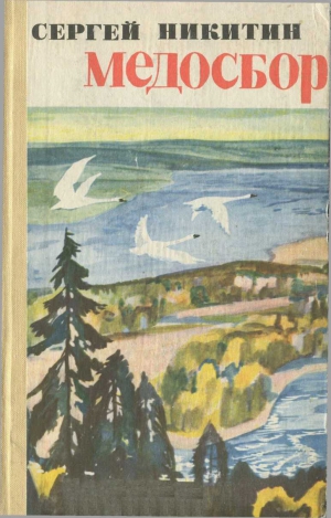 Никитин Сергей Константинович - Медосбор