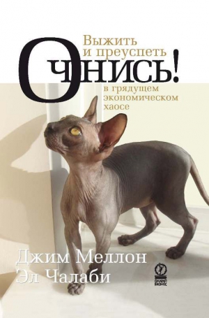 Чалаби Эл, Меллон Джим - Очнись! Выжить и преуспеть в грядущем экономическом хаосе