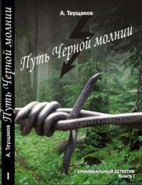 Путь "Чёрной молнии"