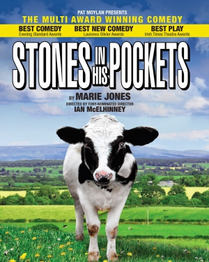 Джонс Мери - Камни в его карманах