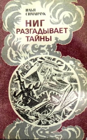 Симанчук Илья - НИГ разгадывает тайны. Хроника ежедневного риска