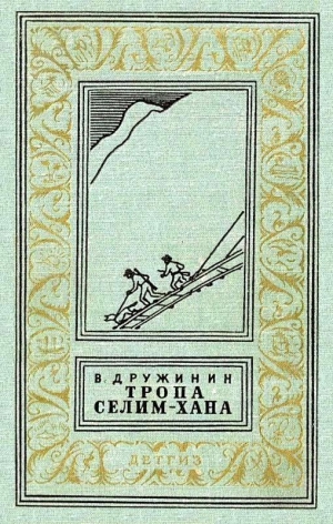 Дружинин Владимир - Тропа Селим-хана (сборник)