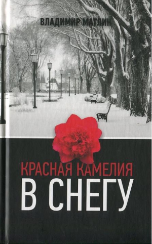 Матлин Владимир - Красная камелия в снегу