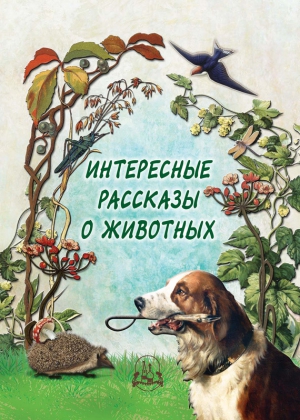 Рудакова Н. - Интересные рассказы о животных