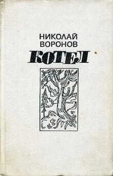 Воронов Николай - Котел. Книга первая