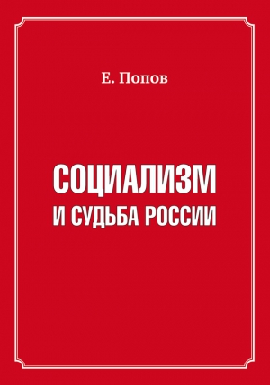 Попов Евгений Анатольевич - Социализм и судьба России
