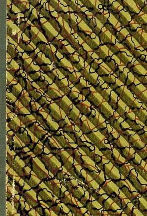 Корнилович Александр - Нравы русских при Петре Великом