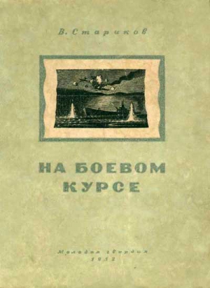 Стариков Валентин - На боевом курсе