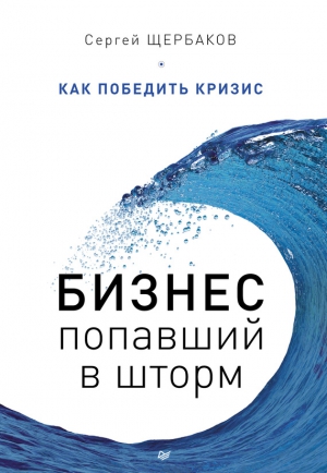 Щербаков Сергей - Бизнес, попавший в шторм. Как победить кризис