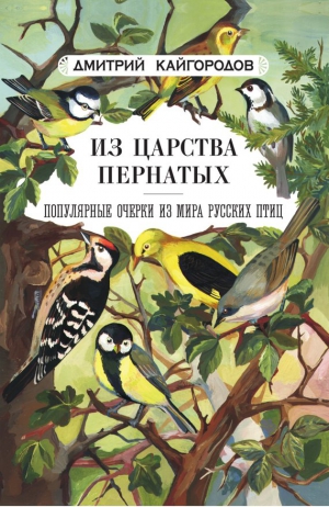 Кайгородов Дмитрий - Из царства пернатых. Популярные очерки из мира русских птиц