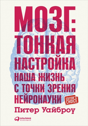 Уайброу Питер - Мозг: Тонкая настройка. Наша жизнь с точки зрения нейронауки