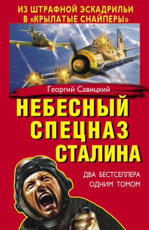 Савицкий Георгий - Небесный спецназ Сталина. Из штрафной эскадрильи в «крылатые снайперы»