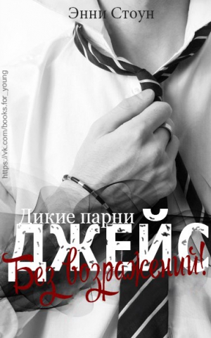 Стоун Энни - Джейс – без возражений!