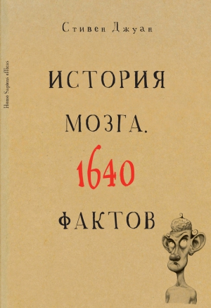 Джуан Стивен - История мозга. 1640 фактов