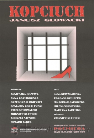 cкачать книгу Януш Гловацкий Замарашка