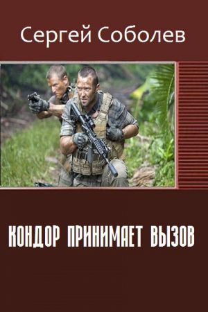 Соболев Сергей - Кондор принимает вызов