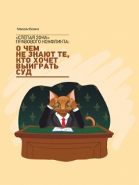 «Слепая зона» правового конфликта