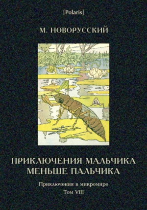 Новорусский Михаил - Приключения мальчика меньше пальчика