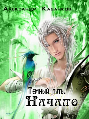 Казанков Александр - Темный путь. Начало (СИ)