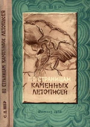 Шер Сергей - По страницам каменных летописей