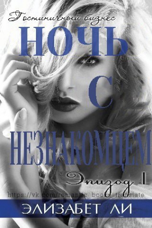 Ли Элизабет - Ночь с незнакомцем. Часть 1 (ЛП) 