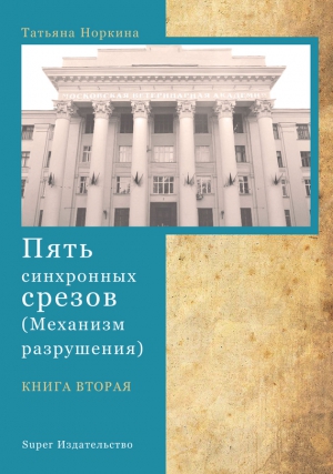 Норкина Татьяна - Пять синхронных срезов (механизм разрушения). Книга вторая