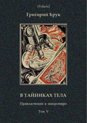 Брук Григорий - В тайниках тела (Приключения в микромире. Том VI)