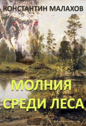 Малахов Константин - Молния среди леса