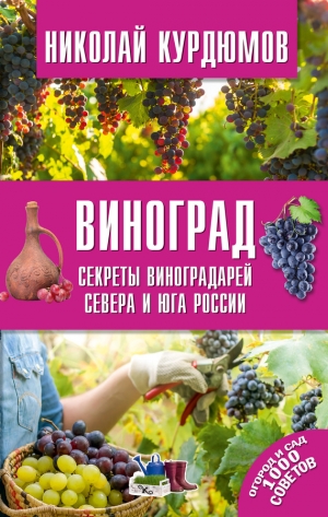 Курдюмов Николай - Виноград. Секреты виноградарей севера и юга России