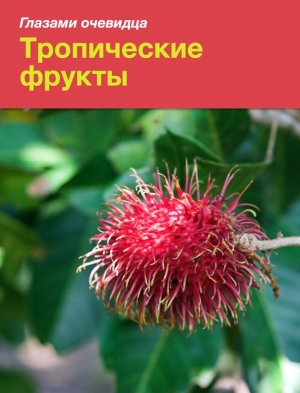 Серебряков Сергей, Пугачёва Екатерина - Тропические фрукты