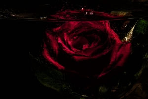 Donaco Brilajn - Одна клетка на двоих. (СИ)