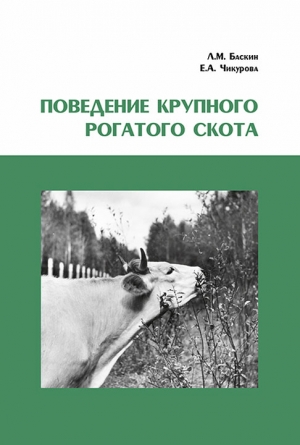 Баскин Леонид, Чикурова Евгения - Поведение крупного рогатого скота