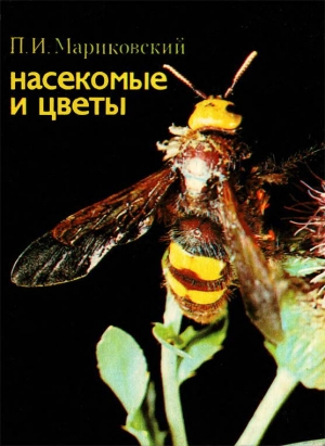 Мариковский Павел - Насекомые и цветы