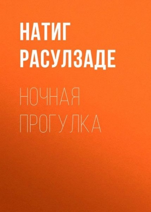 Расулзаде Натиг - Ночная прогулка