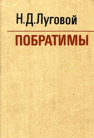 Луговой Николай - Побратимы